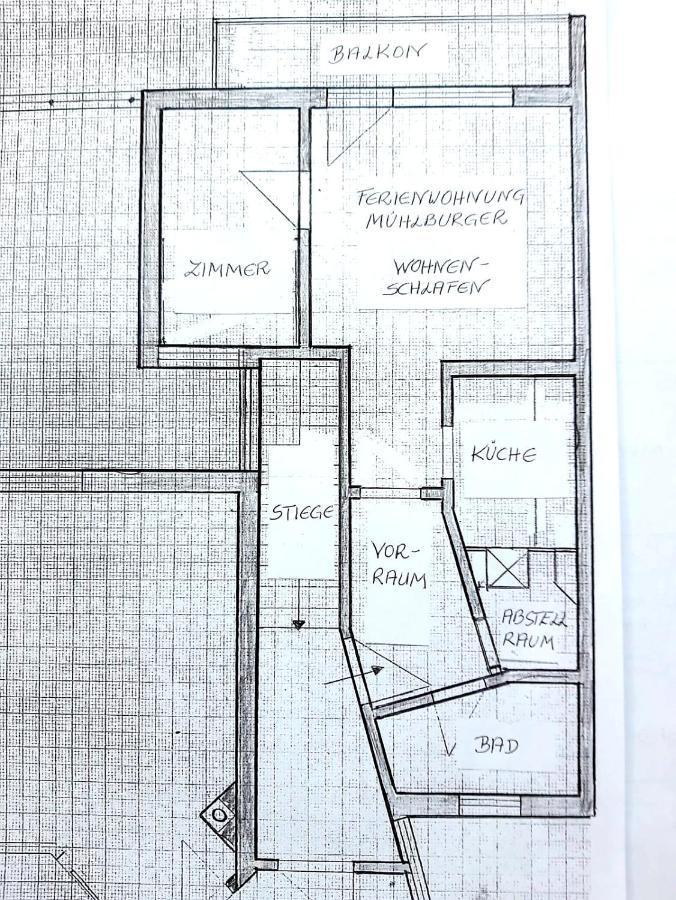 Ferienwohnung Muehlburger Lienz Exterior foto